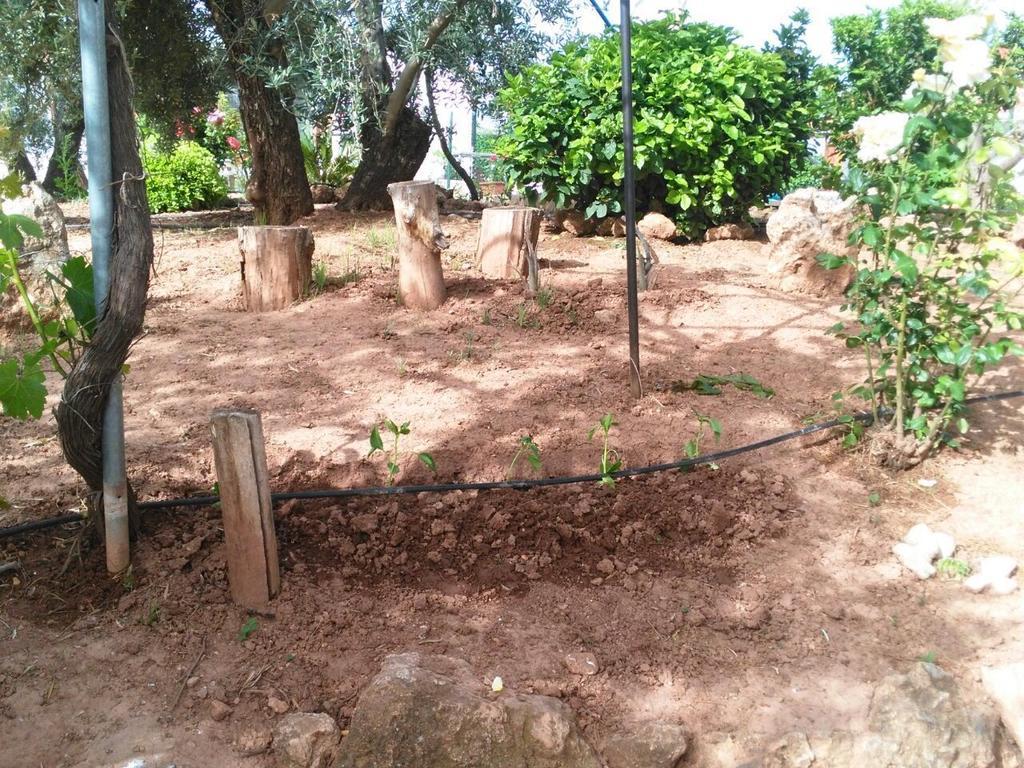 Alojamientos Rurales La Loma Pozo Alcón Kültér fotó